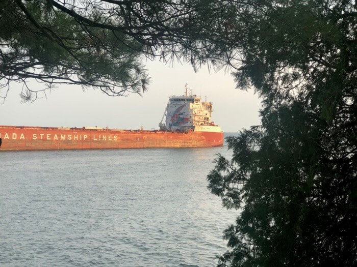 Bulk carrier on the St. Lawrence River photo by Kathy Miller