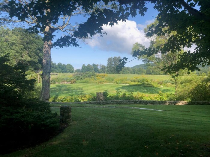 Meadow on Kirby Hollow photo by Kathy Miller