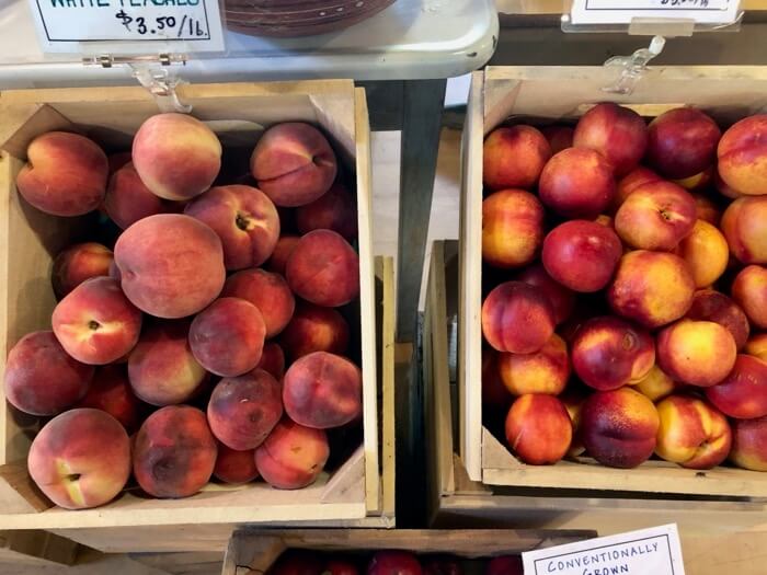 Peaches at Clear Brook Farm photo by Kathy Miller